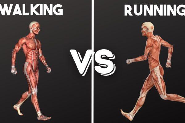 A person walking and another person running on a park trail, symbolizing different approaches to weight loss through walking and running.